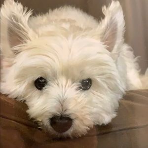 Meet your Posher, Karen